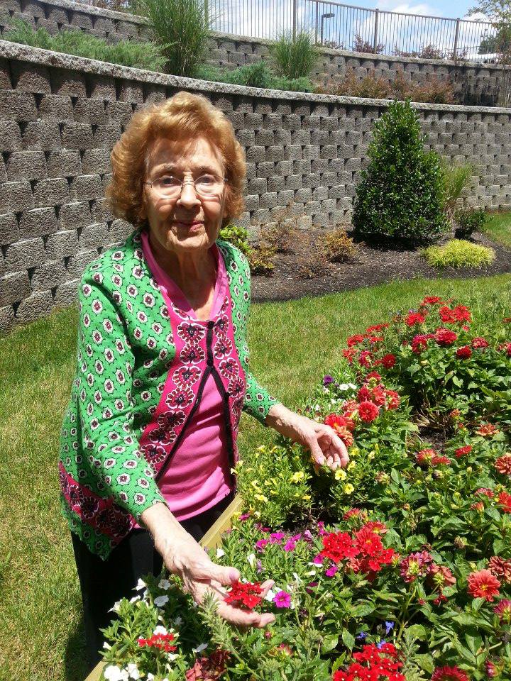 Wellspring Gardens