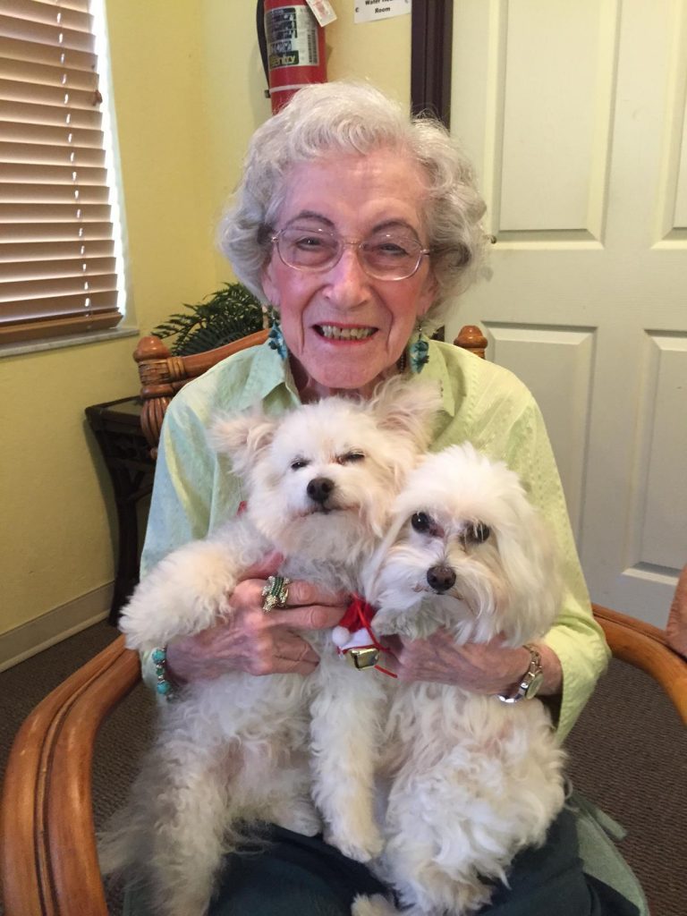 zblogpettherapy01