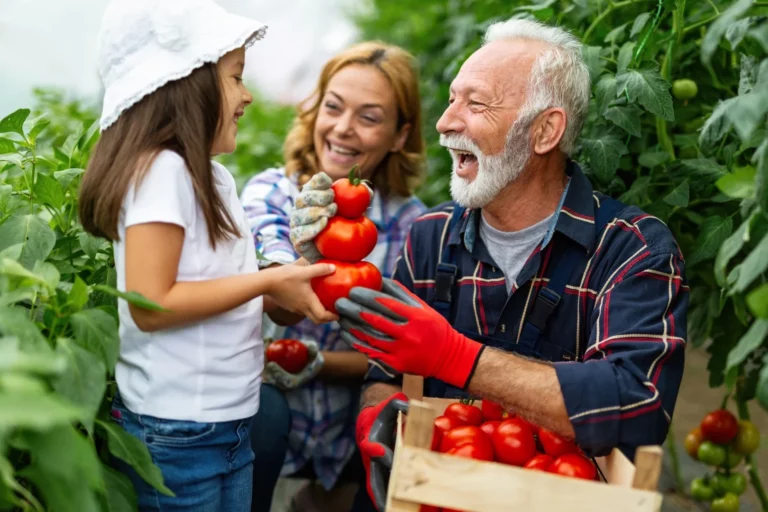 Outside Summer Activities to do with Seniors